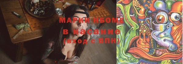 хмурый Алзамай